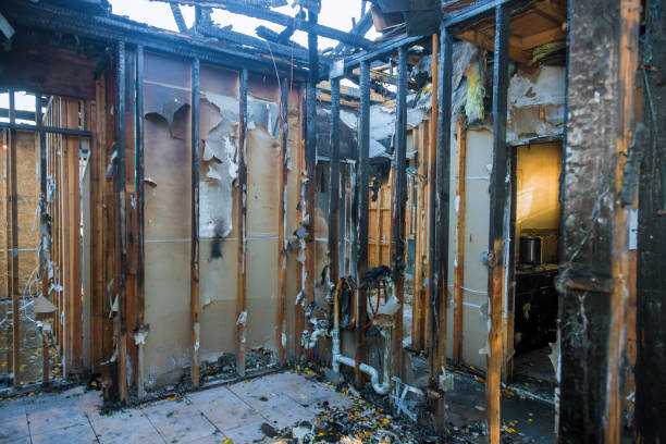 Professional Fire Damage Removal technician working in Lakeville, MN